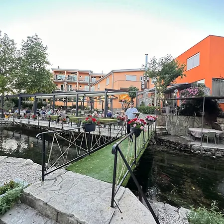 Ada
